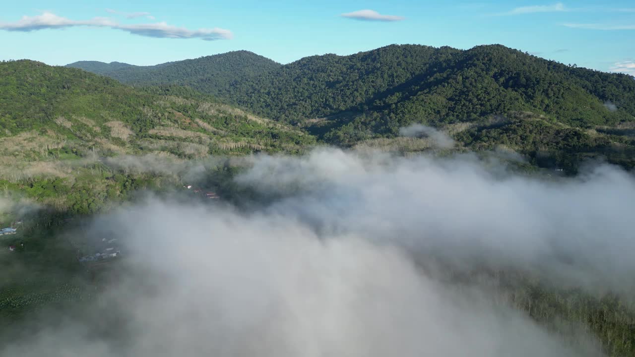 鸟瞰图，田园般的种植园被柔和的白云层包围视频素材