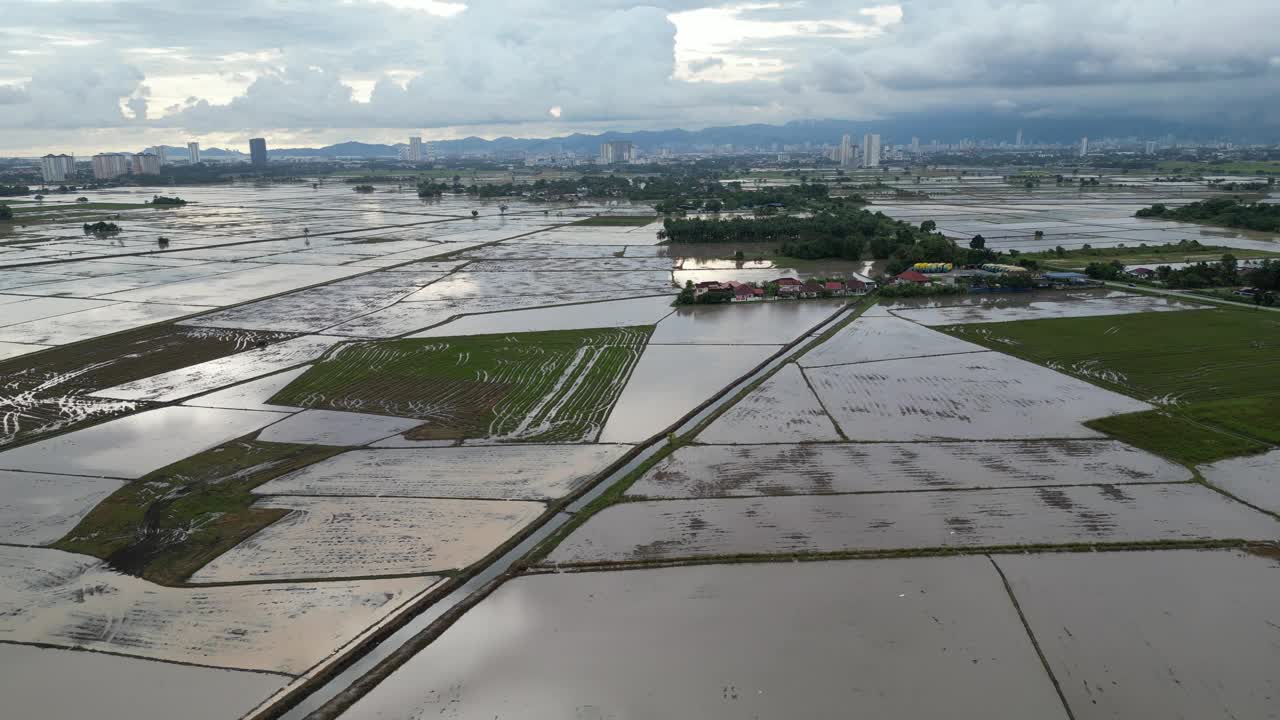 水田鸟瞰图视频素材