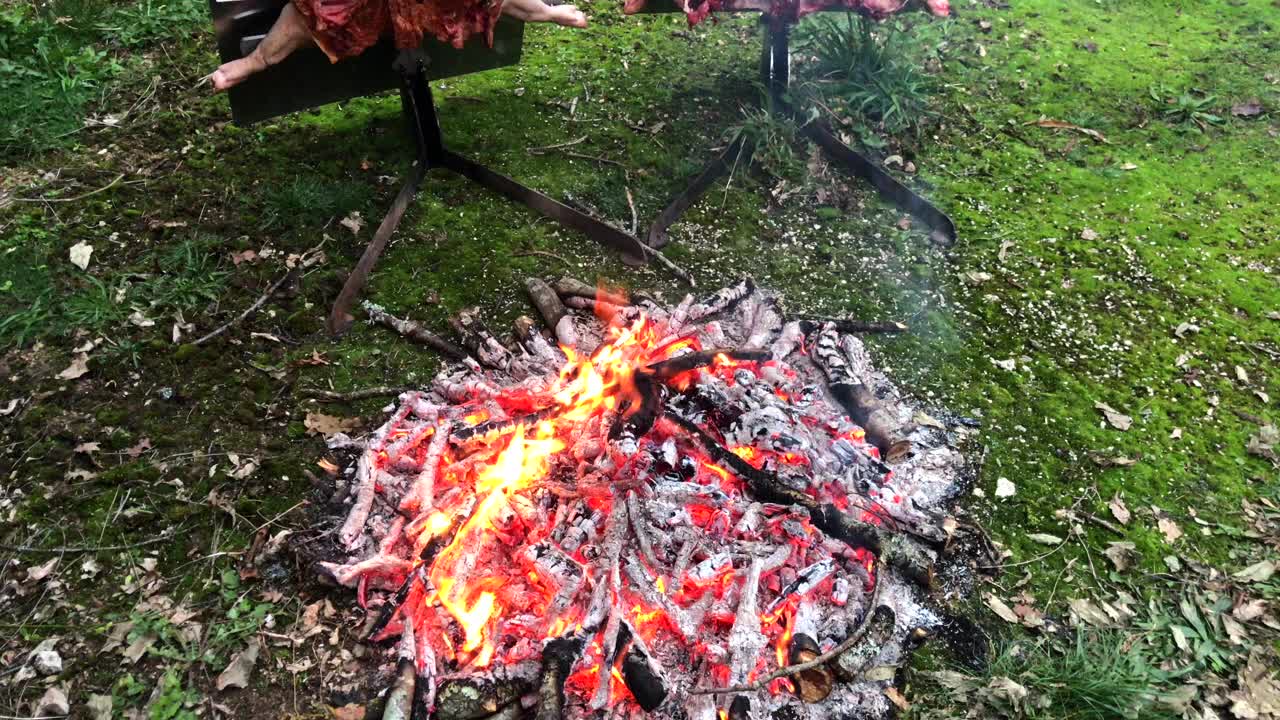 传统的阿根廷烤肉、羊肉和小猪，在柴火上慢炖，涂上辛辣的墨西哥辣酱，巴塔哥尼亚，阿根廷，法国视频素材