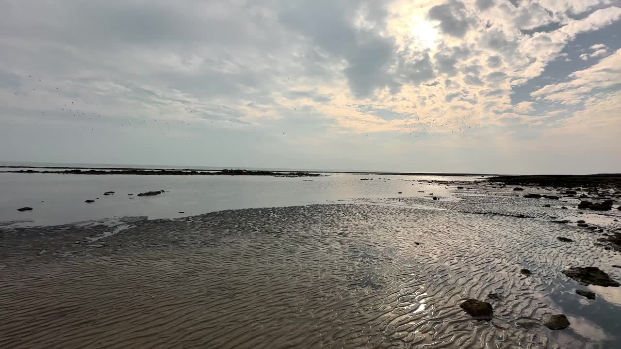 清晨，鸟儿在沙滩上飞翔视频素材