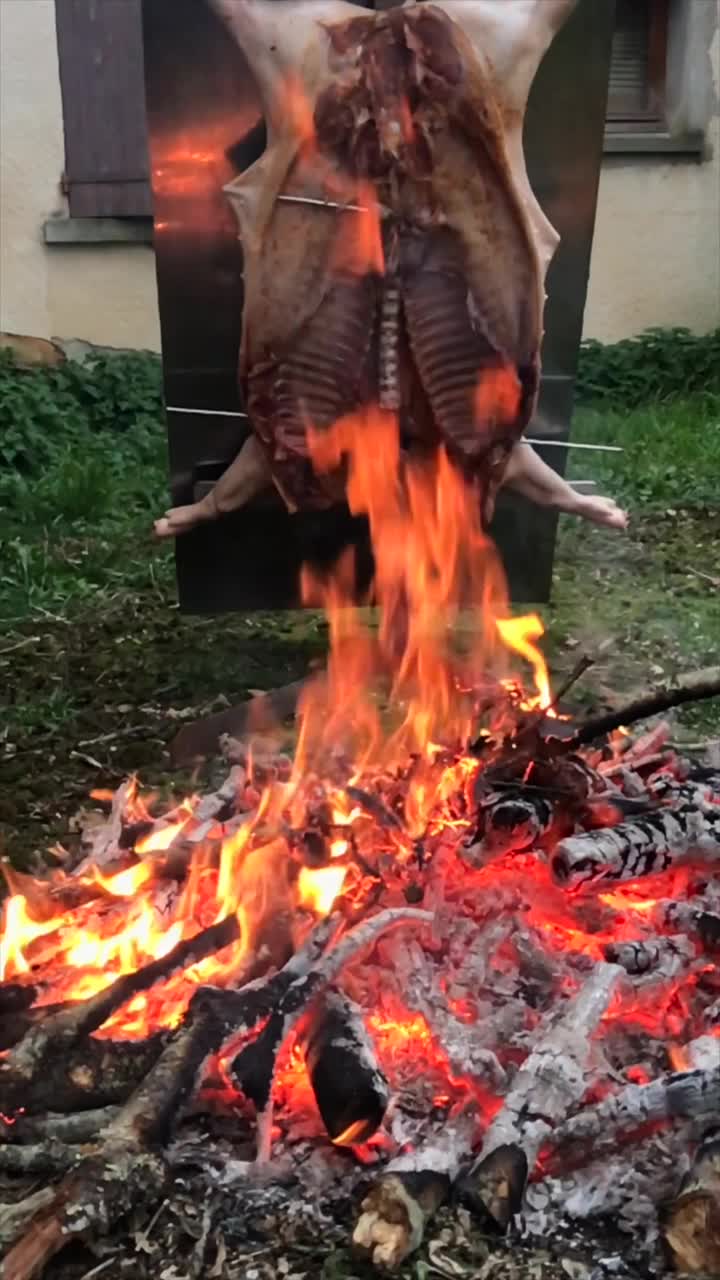 传统的阿根廷烤肉、羊肉和小猪，在柴火上慢炖，涂上辛辣的墨西哥辣酱，巴塔哥尼亚，阿根廷，法国视频素材