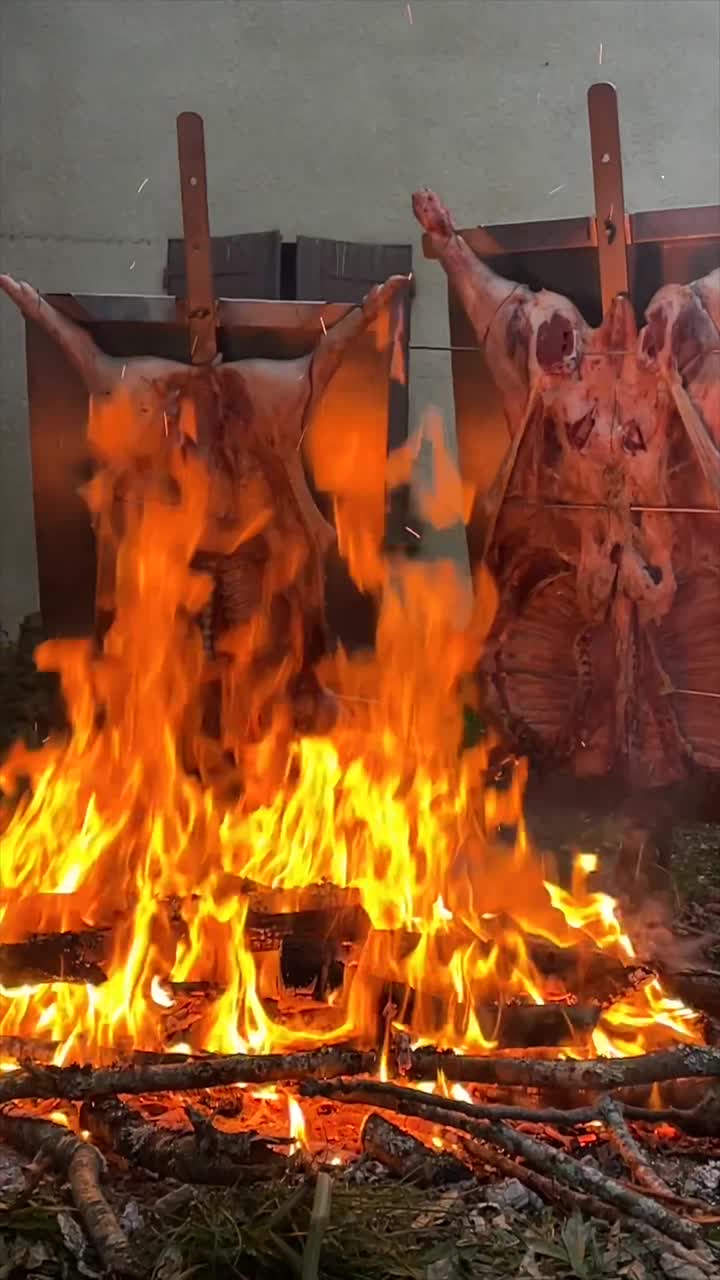 传统的阿根廷烤肉、羊肉和小猪，在柴火上慢炖，涂上辛辣的墨西哥辣酱，巴塔哥尼亚，阿根廷，法国视频素材