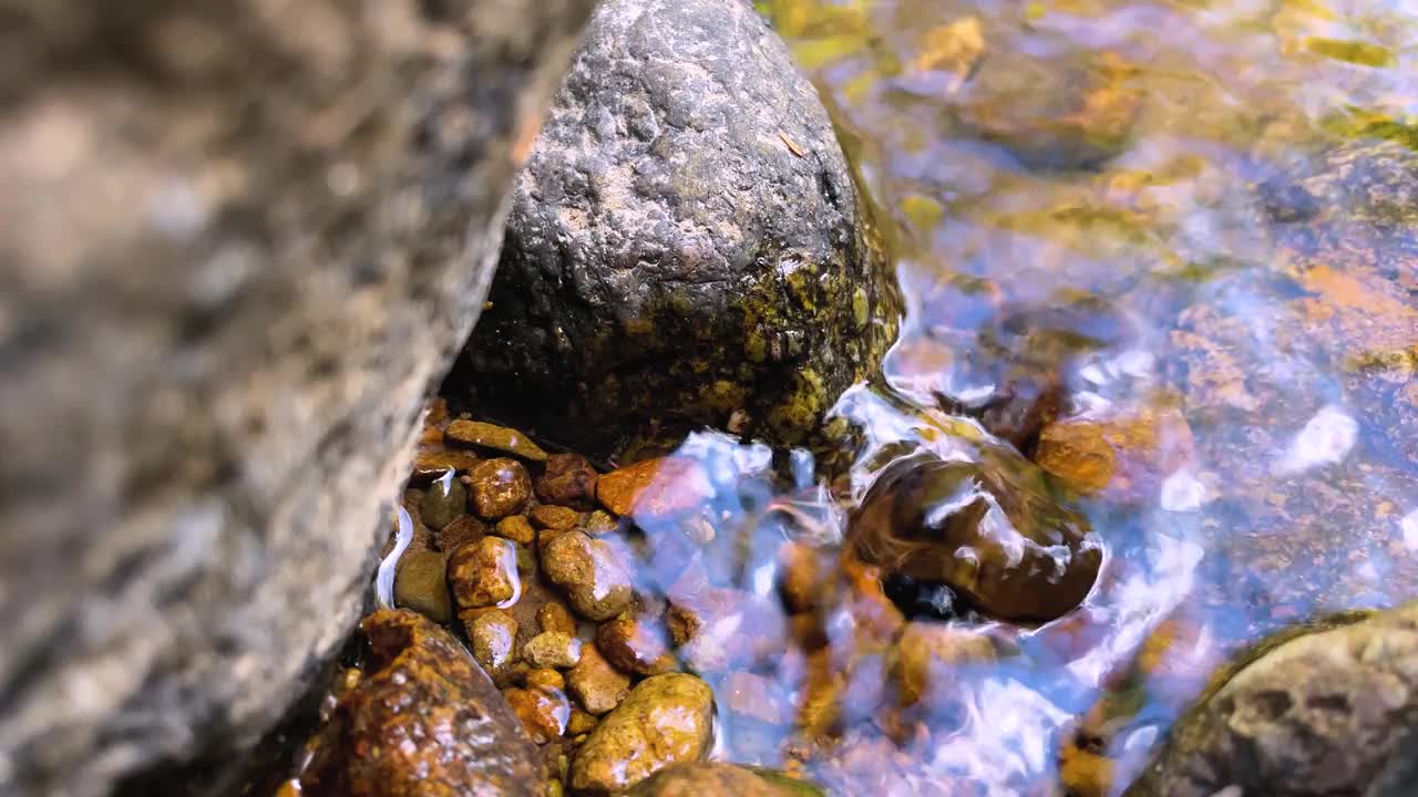 夏天，绿色的森林里水流湍急。一条小瀑布从岩石下面冒了出来。用慢动作拍照视频素材