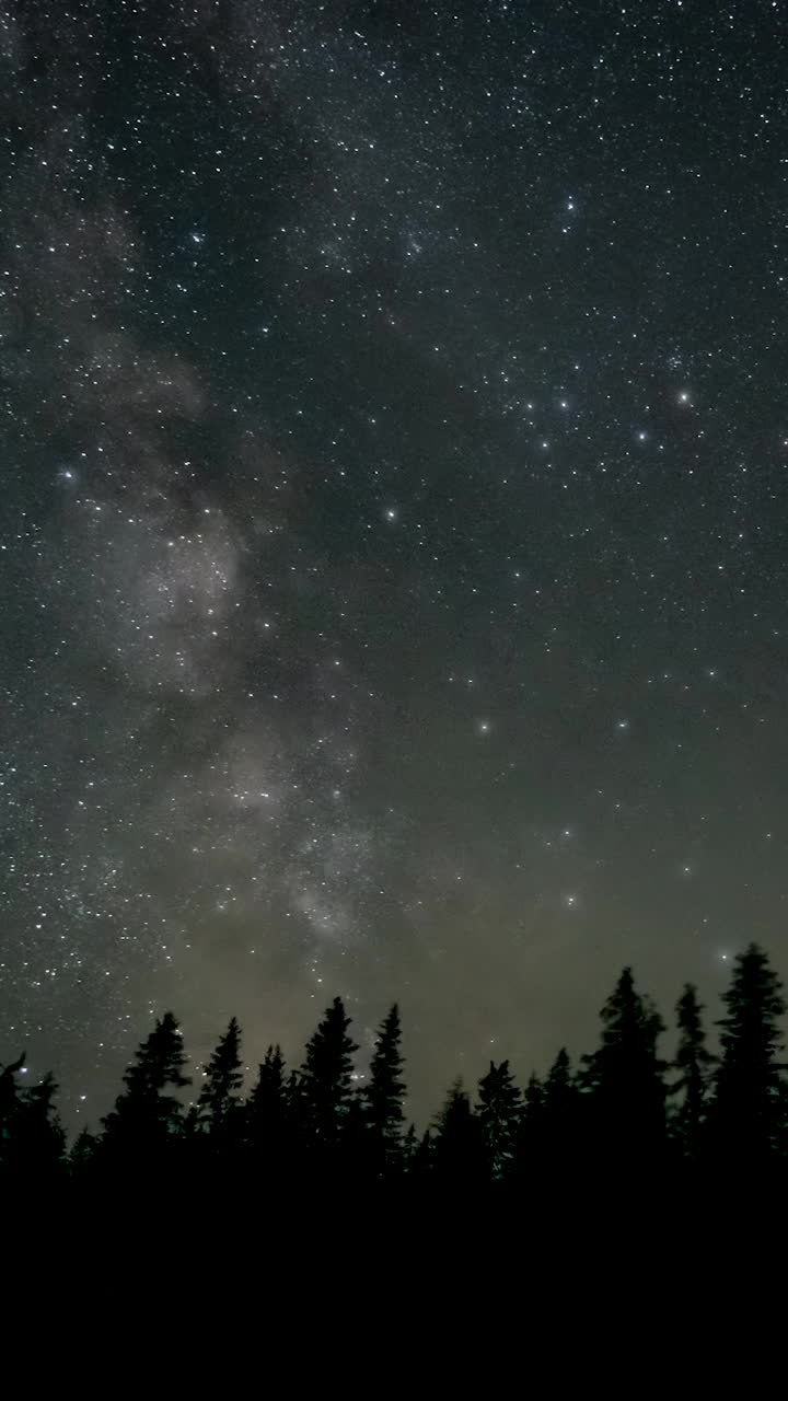 随着时间的推移，银河在树木的剪影上移动视频素材