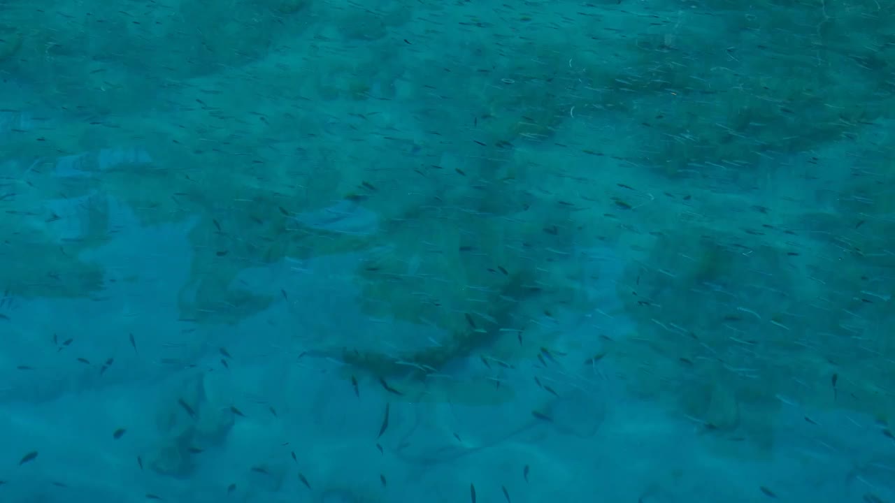 碧海动，水面流，水底清观，小鱼鱼群，清风荡漾视频下载