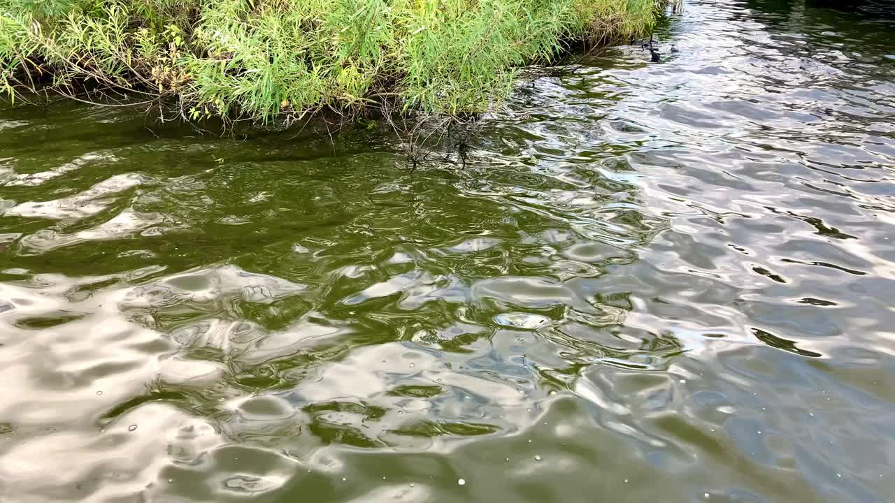 河水从河上流过视频下载