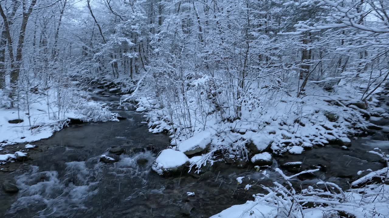 冬日仙境中令人惊叹的雪水画面视频素材