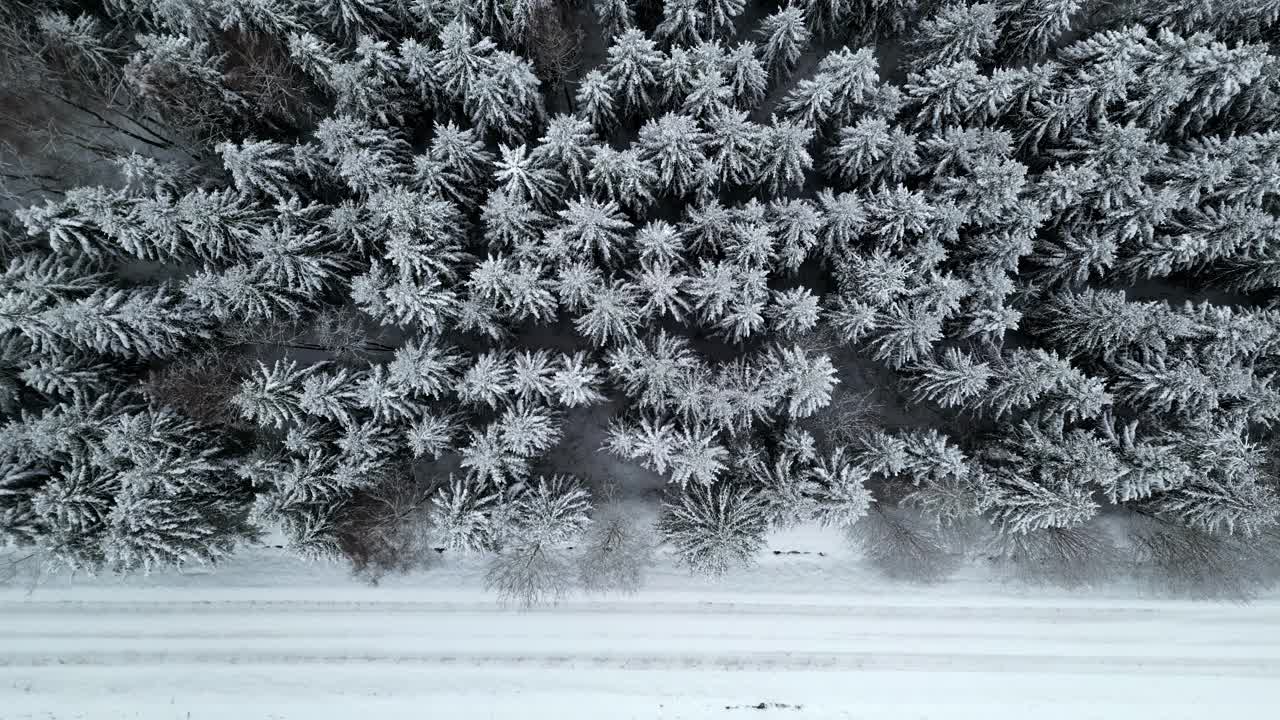 密密的冰封云杉林在冬季的雪景天气，淹没了空中视频素材