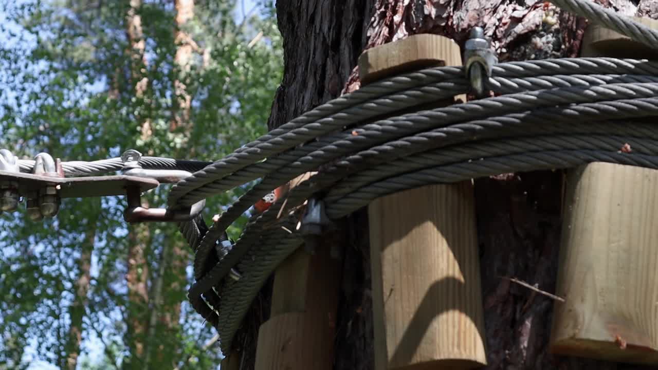 一种缠绕在树上的绳子，带有钩环和保护装置，用于从高处绳降。登山、体育旅游、攀岩培训与教育。视频下载