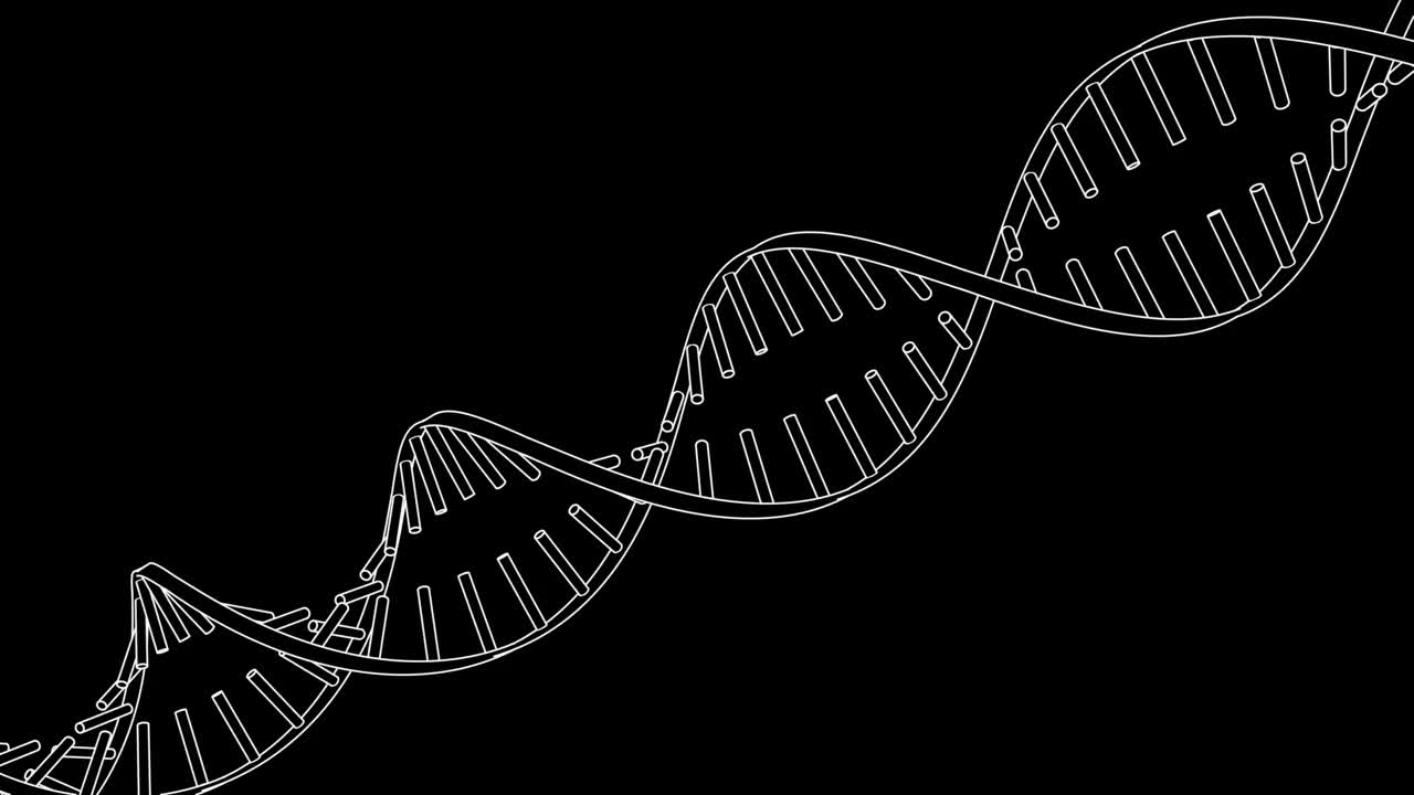 黑白DNA螺旋图形用户界面元素的信息图表在电影，电影和动画线条笔画平面设计风格视频下载