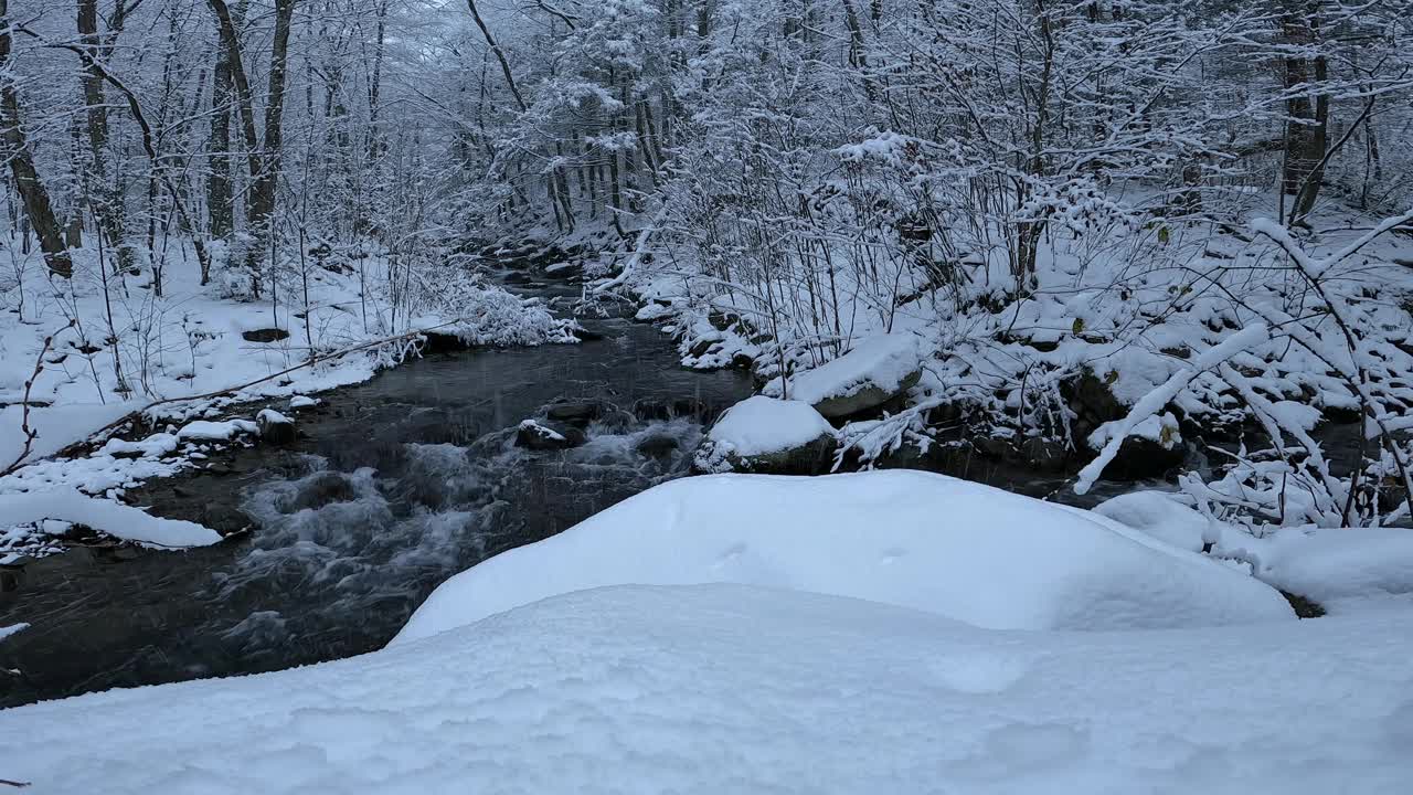 冬日仙境中令人惊叹的雪水画面视频素材