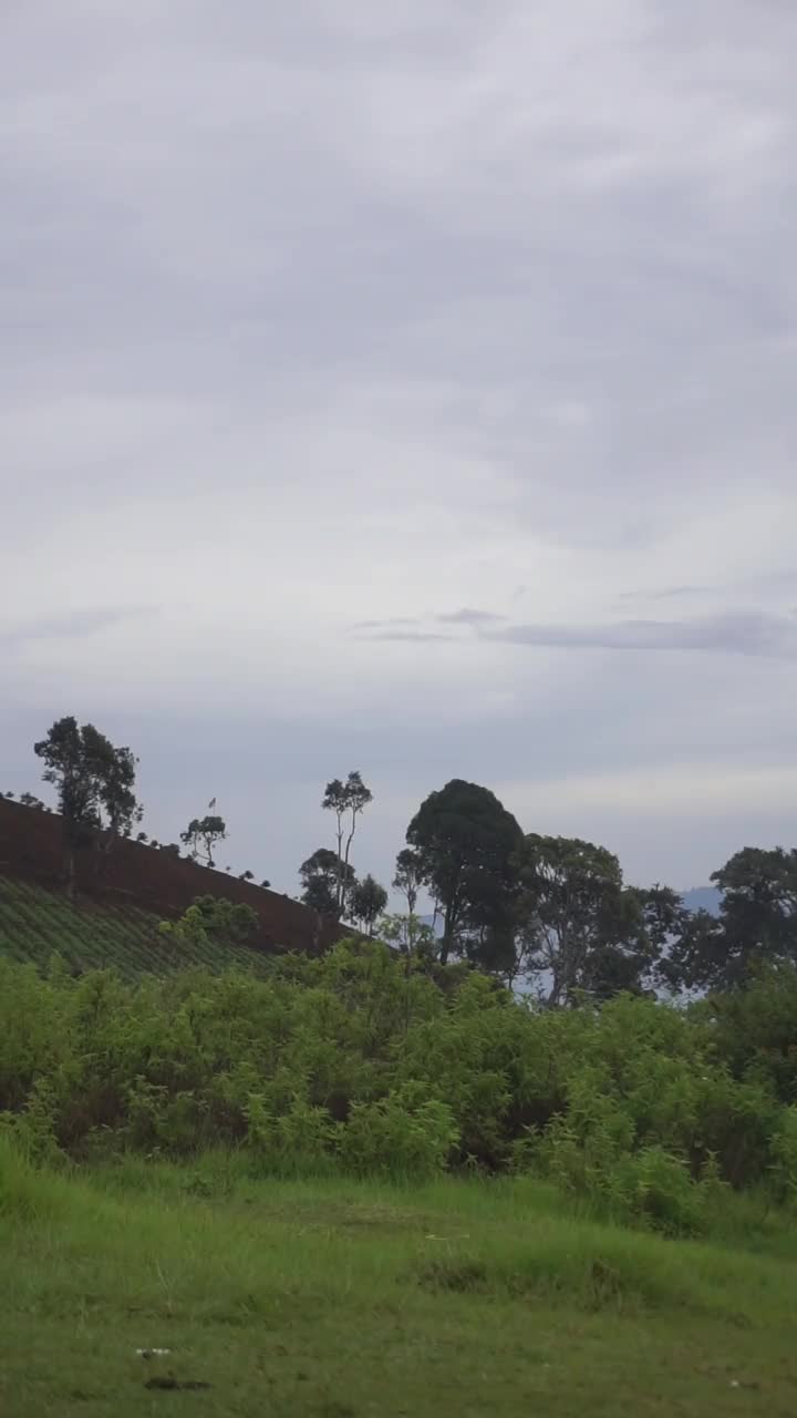 自然风光山脉自然全景丘陵，和森林的高大的绿树和斜坡的绿色种植园在多云的蓝天视频素材