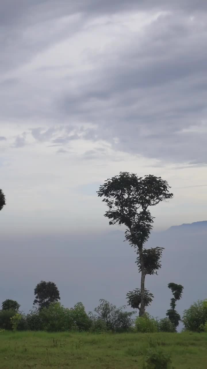 自然风光山脉自然全景丘陵，和森林的高大的绿树和斜坡的绿色种植园在多云的蓝天视频素材