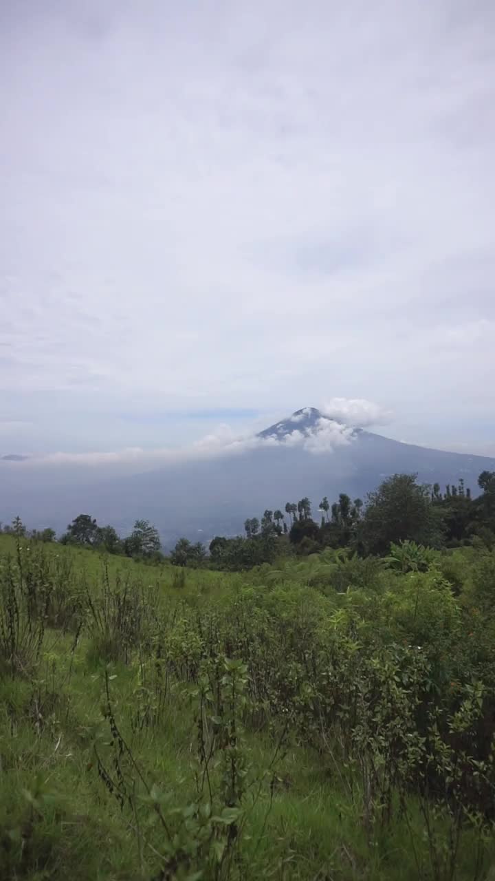 自然风光山脉自然全景丘陵，和森林的高大的绿树和斜坡的绿色种植园在多云的蓝天视频素材