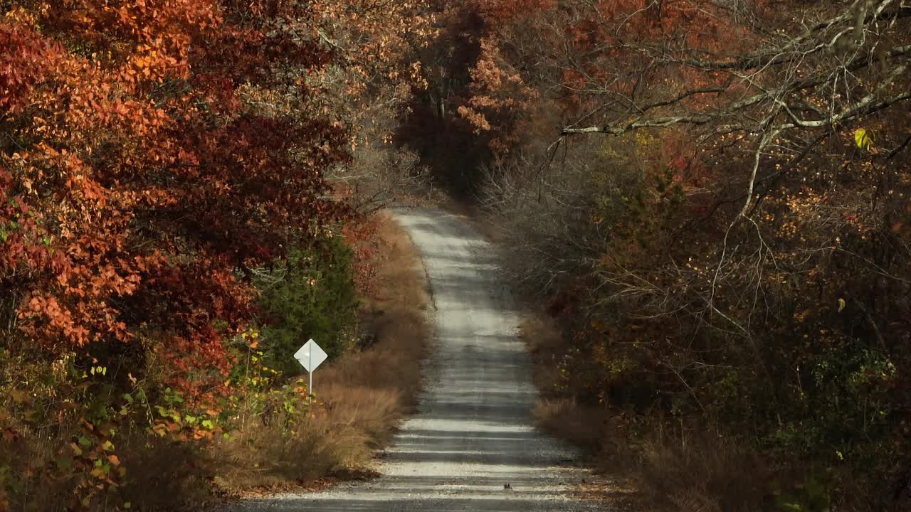 在AR，美国，在郁郁葱葱的森林和五颜六色的秋天树木之间的乡村道路-无人机拍摄视频素材