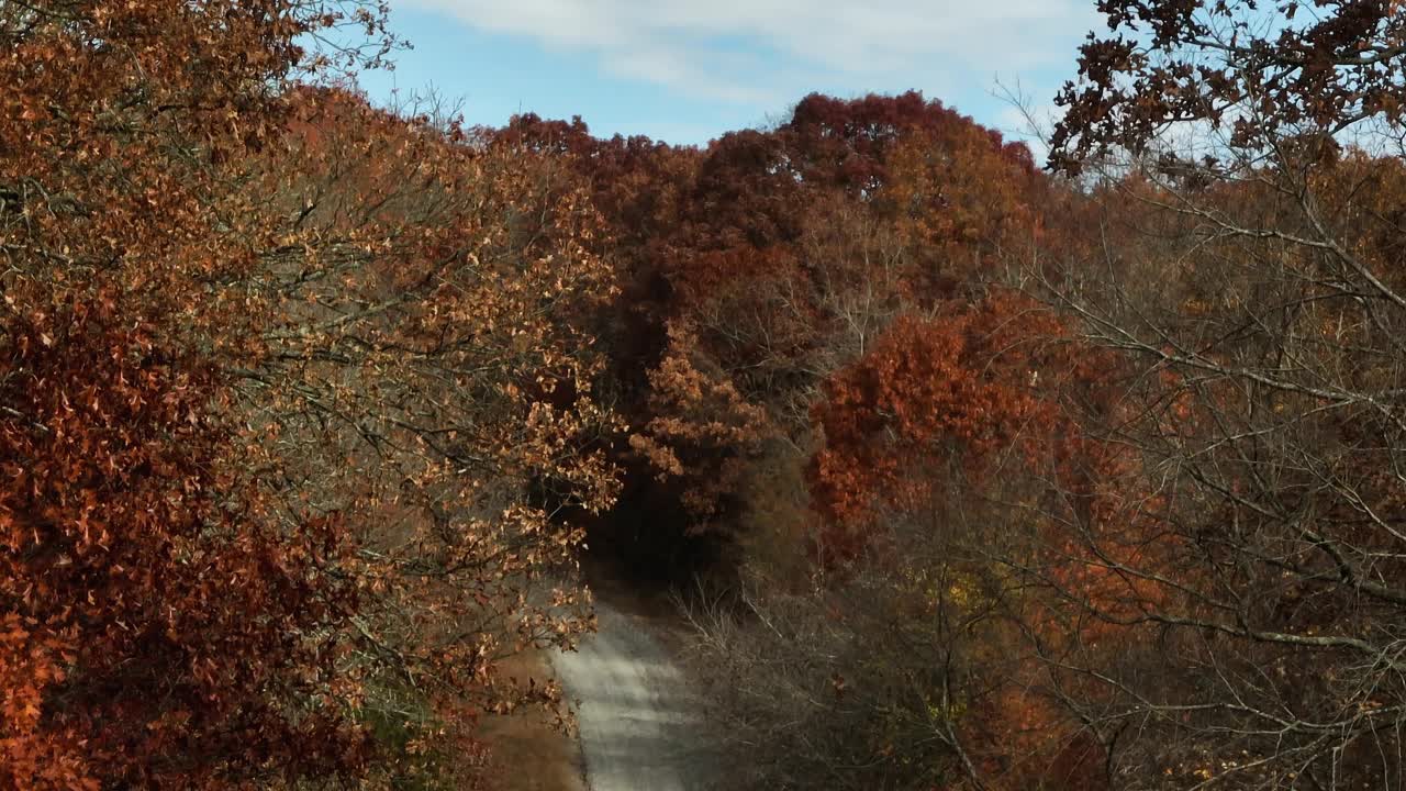 秋天在AR茂密的森林之间的乡村道路，美国-无人机拍摄视频素材