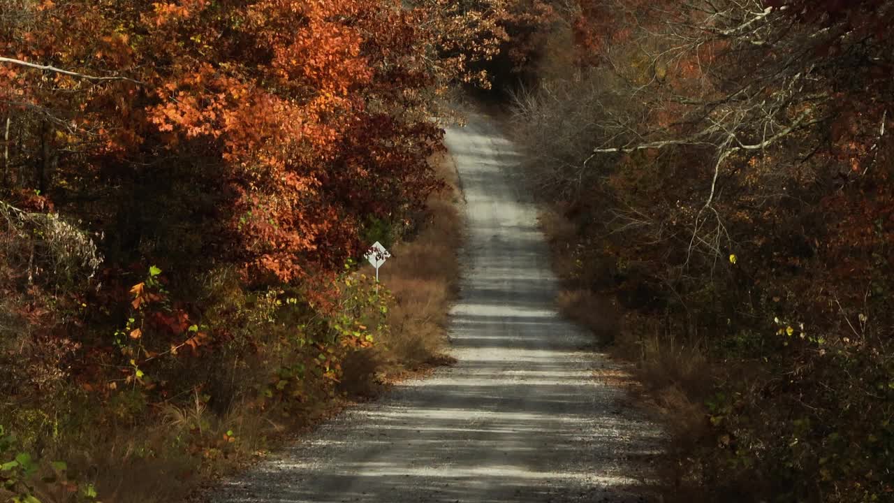 在AR，美国，郁郁葱葱的秋天森林之间的乡村道路-无人机拍摄视频素材