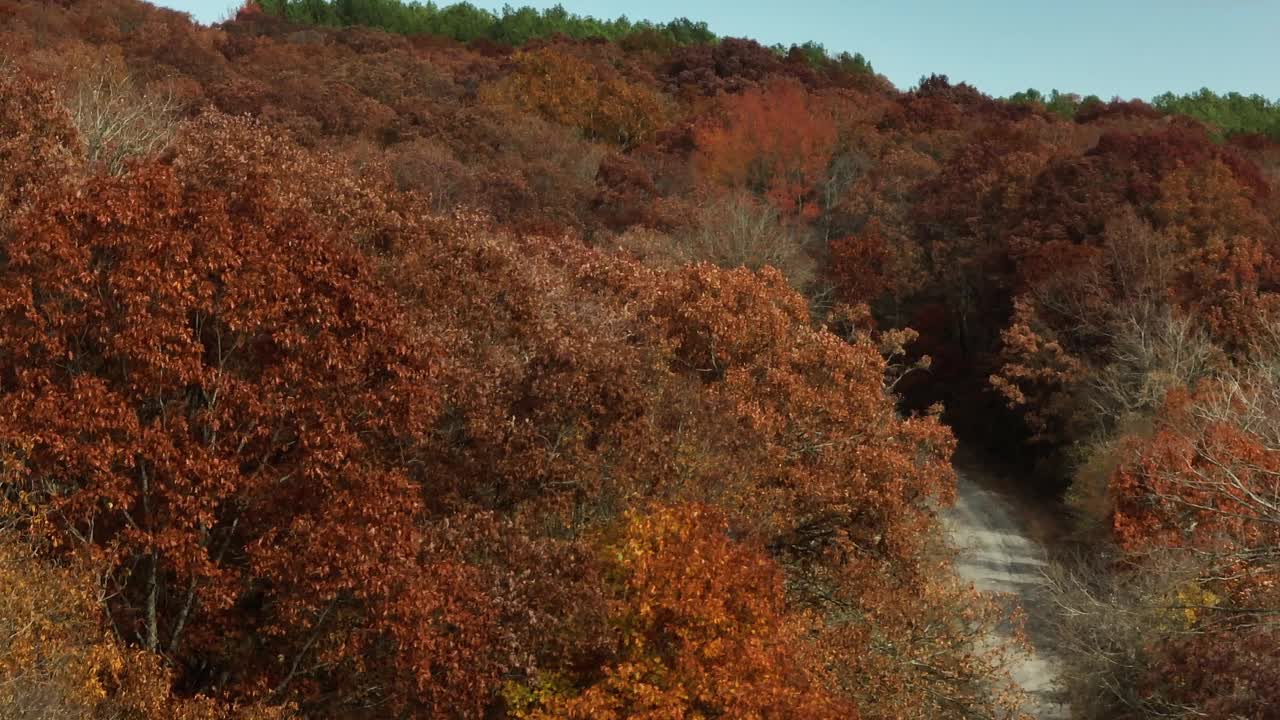 道路之间的美丽多彩的秋天森林在AR，美国-航拍视频素材