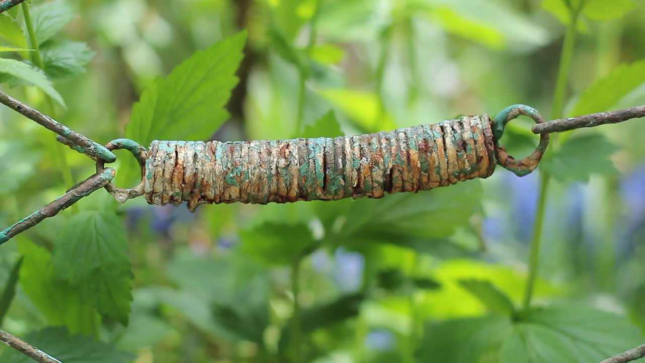 部分旧篱笆，绿色花卉背景。视频下载