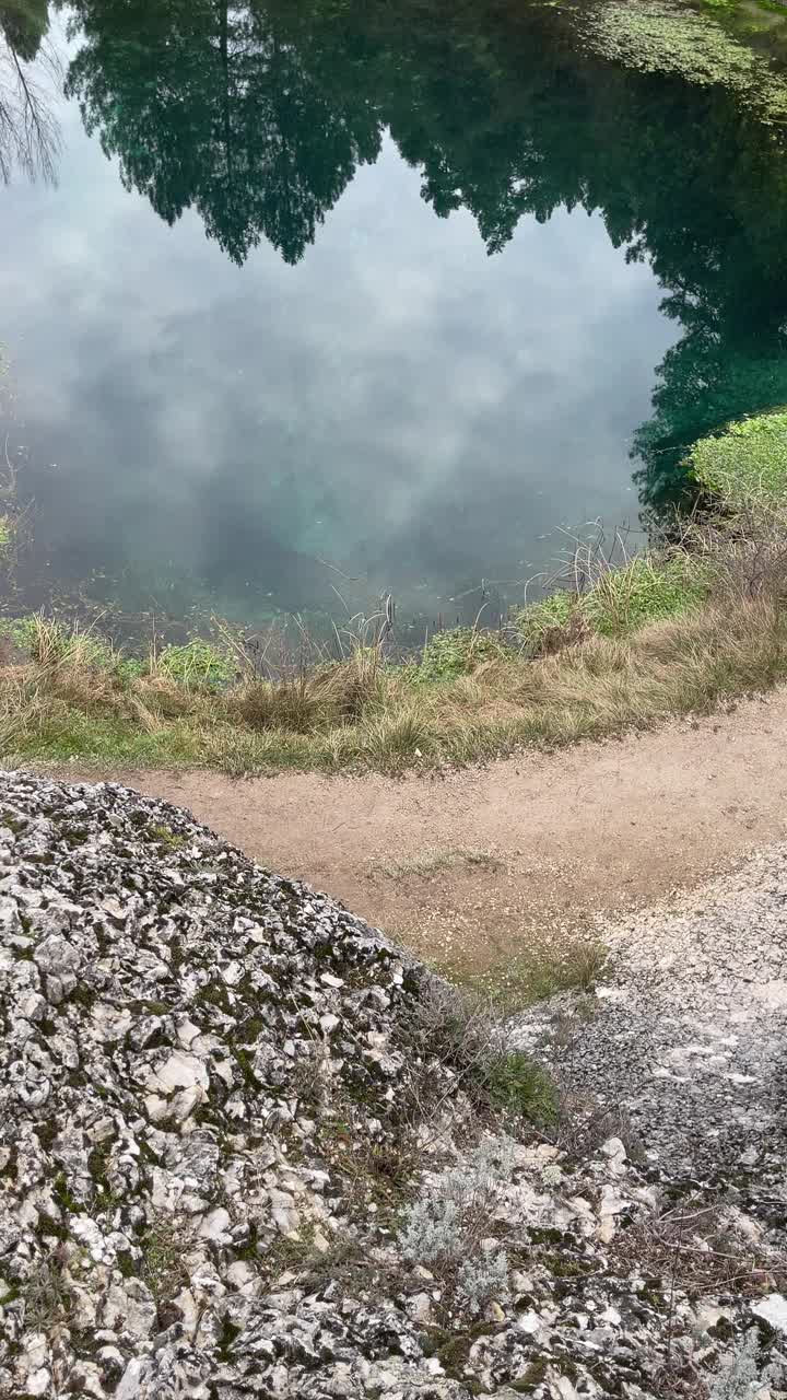 清澈清澈的湖水沿着河床平静地流淌，水面上漂浮着绿色植物，西班牙索里亚穆里尔德拉富恩特天然纪念碑拉富恩托纳，垂直倾斜视频下载