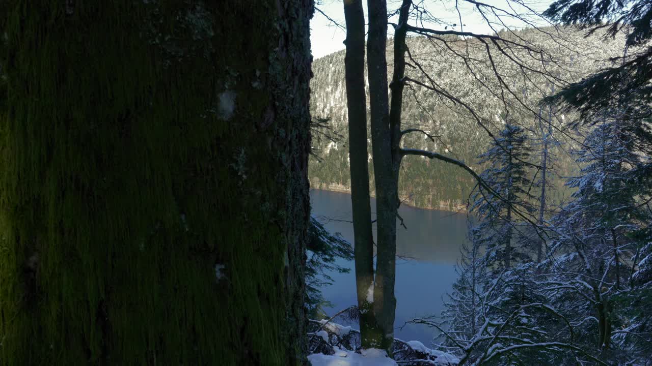 法国孚日的朗格默湖，周围是白雪覆盖的森林。视频素材