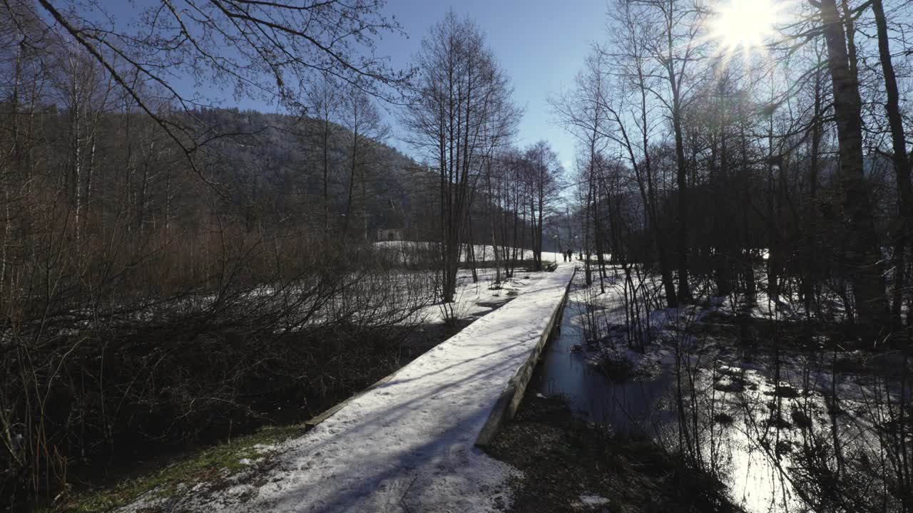 在法国孚日美丽的森林景观中，一座被冰雪覆盖的桥梁的广角镜头视频素材