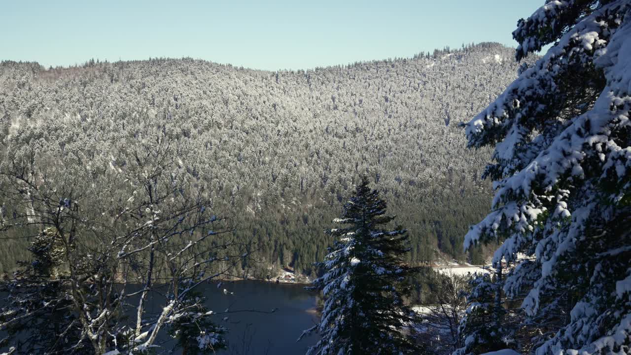 法国孚日，朗格默湖与积雪覆盖的松林山脉的全景照片。视频素材