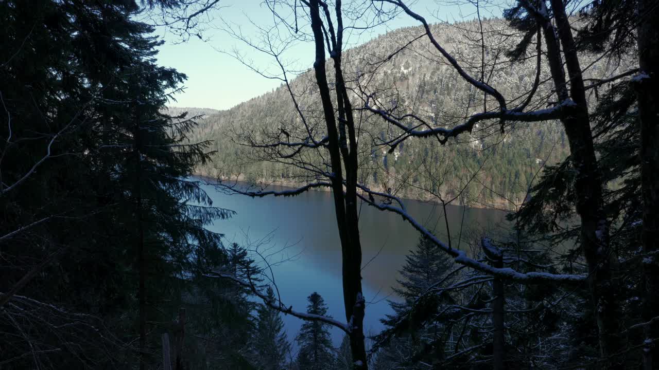 法国孚日山脉松树林后面的朗格默湖的静态照片。视频素材