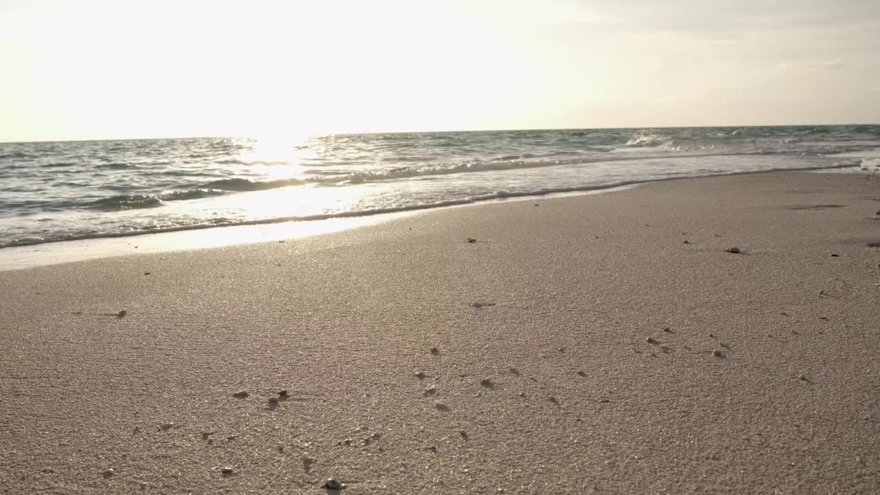 有海浪的海景，沙滩上沙滩上的脚印视频素材