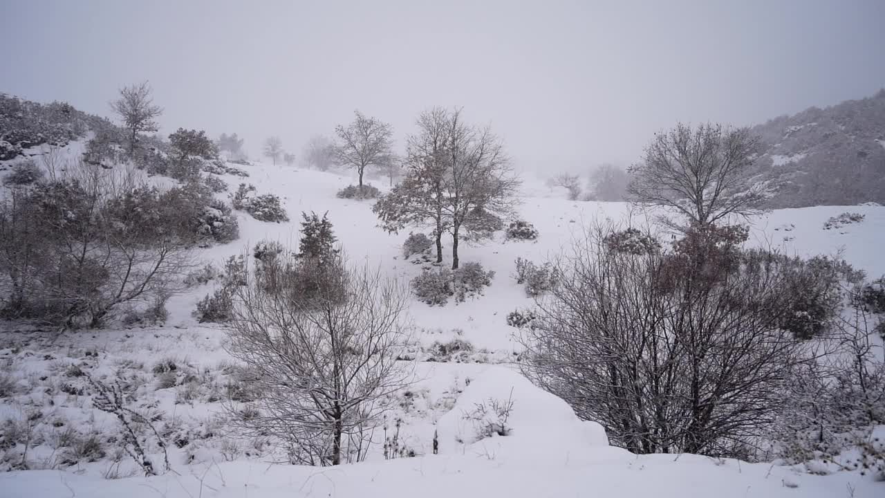 冬季降雪视频素材