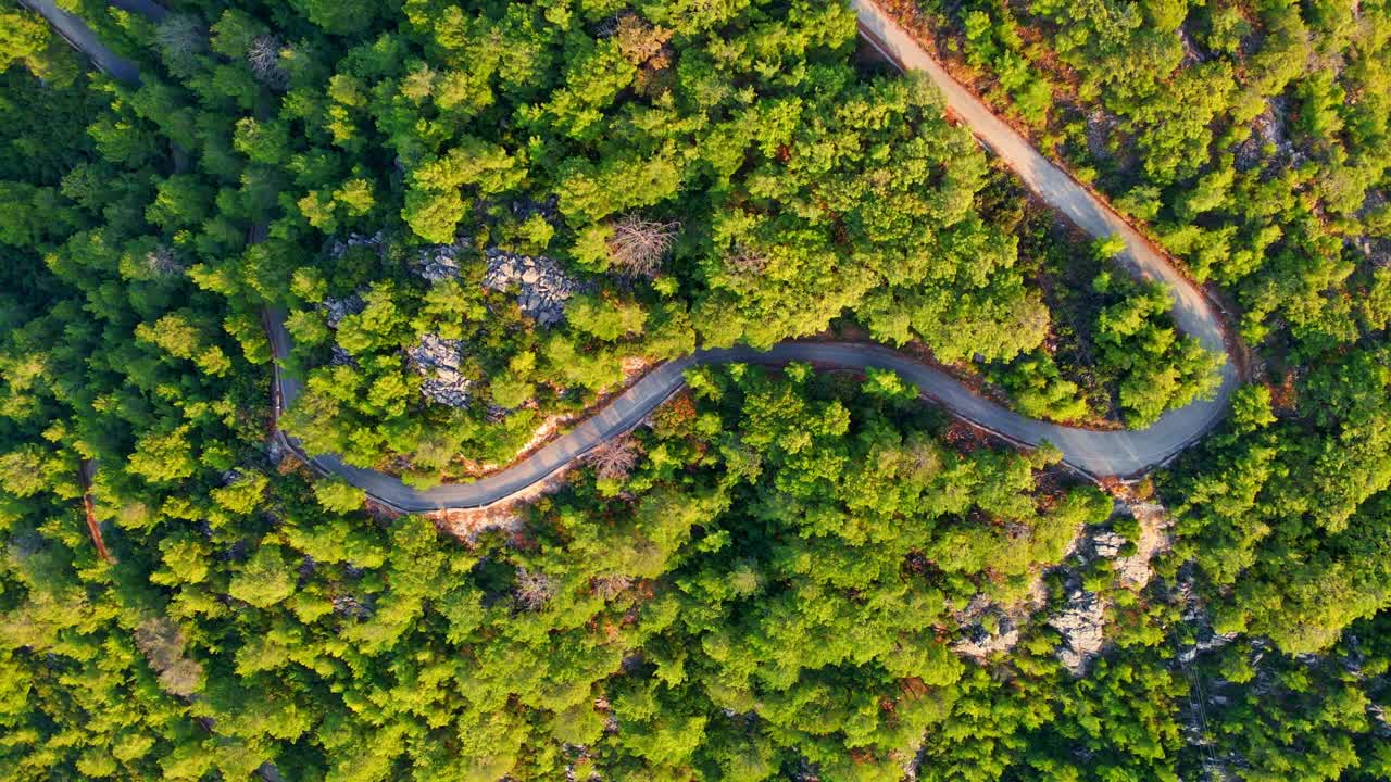 令人惊叹的空中4k无人机镜头，一条空旷的道路在郁郁葱葱的森林景观中滑行。由上而下的无人机拍摄于夏季。视频素材