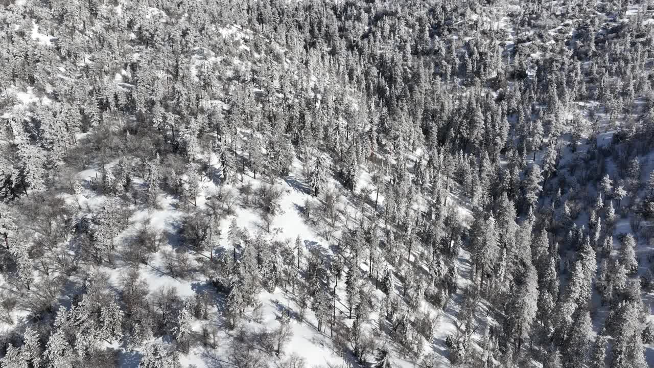 洛杉矶附近积雪覆盖的山脉航拍图视频素材