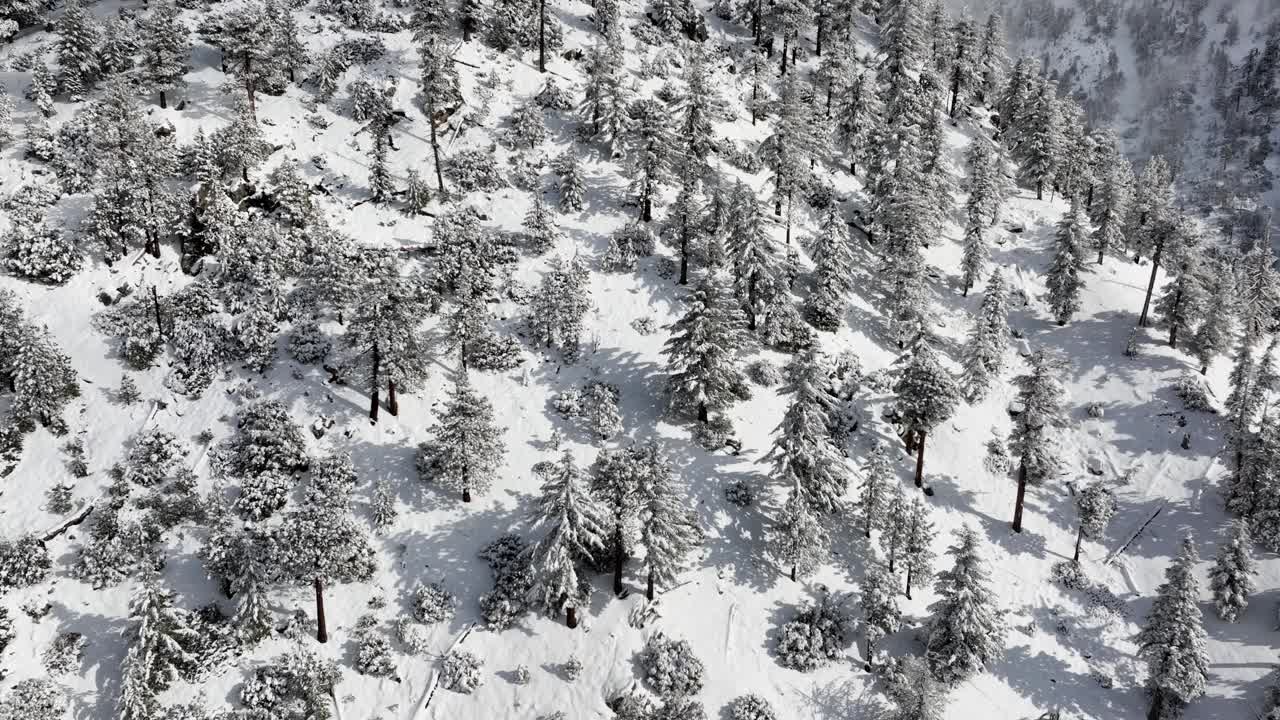 洛杉矶附近积雪覆盖的山脉航拍图视频素材