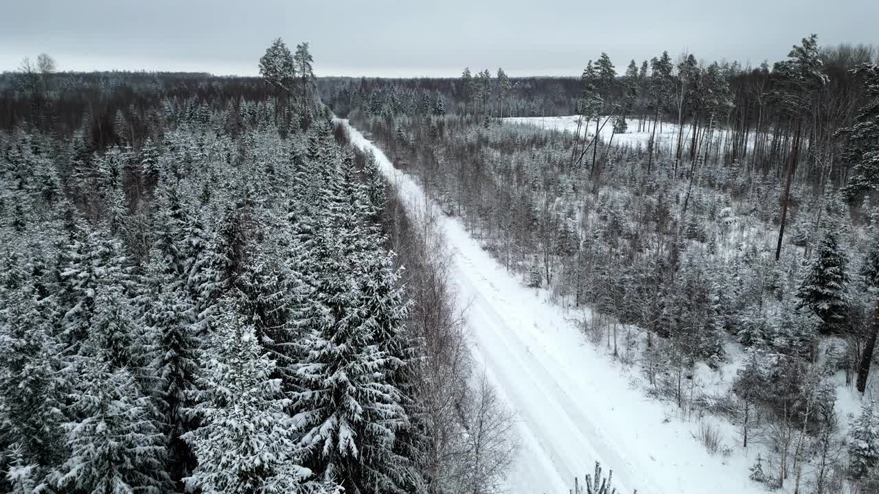 遥远的道路穿过冰封的白雪皑皑的森林——空中天桥视频素材