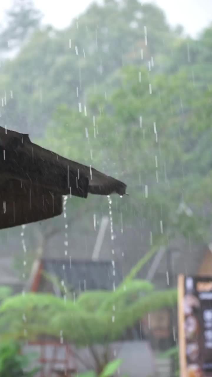 雨视频素材