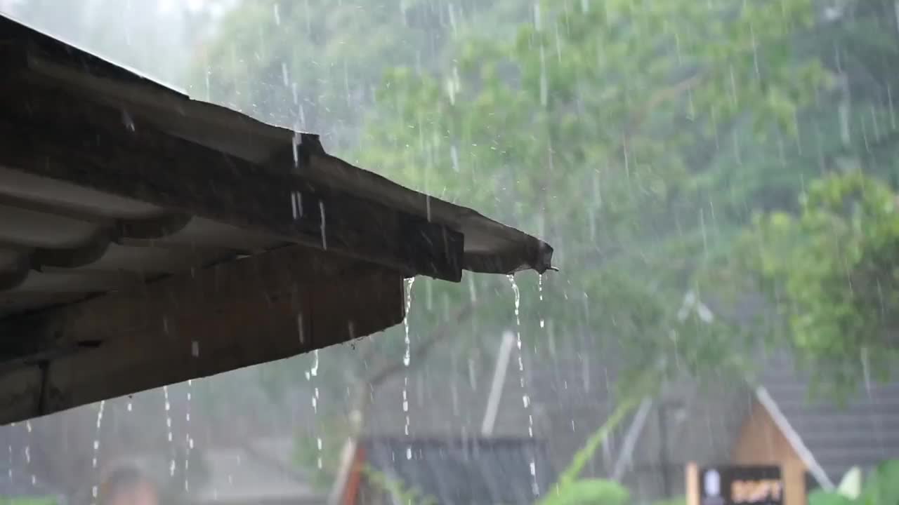 雨视频素材