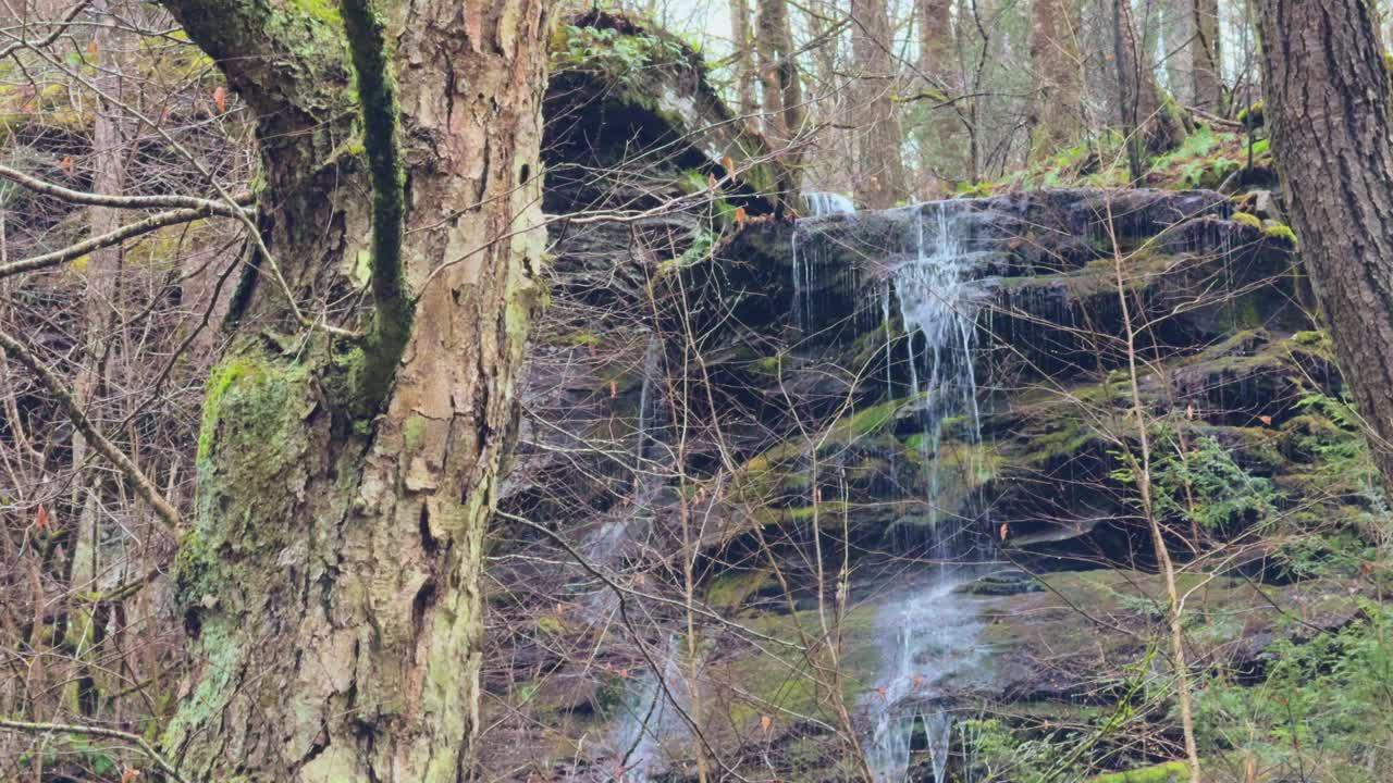 在早春的一个雨天，阿巴拉契亚山脉高处的一个令人惊叹的瀑布视频素材