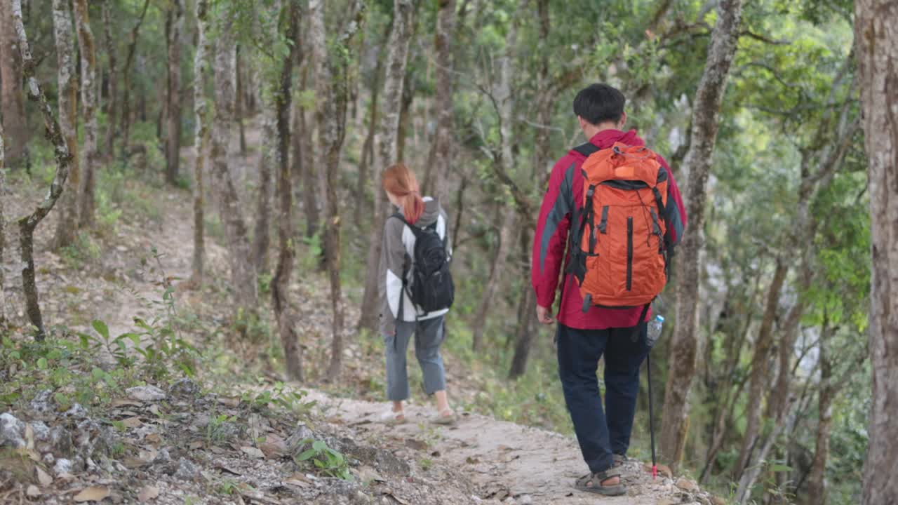 男女徒步旅行者在荒野中在绿色的森林里学习大自然的完美假期放松。视频素材