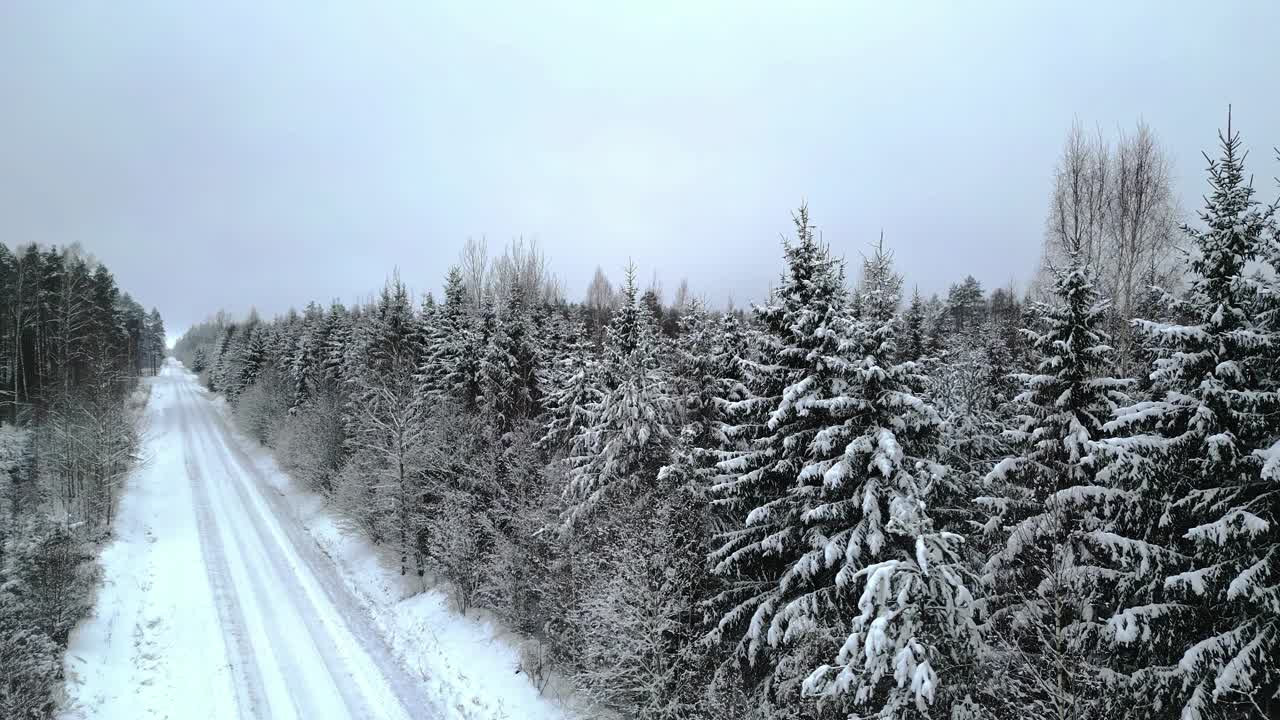 霜冻的森林在冬天沿着乡村的雪道-空中视频素材