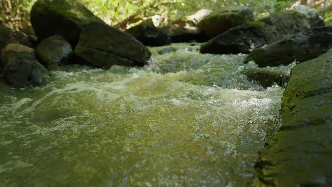 水从巨石中流过。石头在水里。水泡沫。快速的电流。丛林中水流穿过岩石的特写镜头。夏天流过岩石的小溪。自然概念视频素材