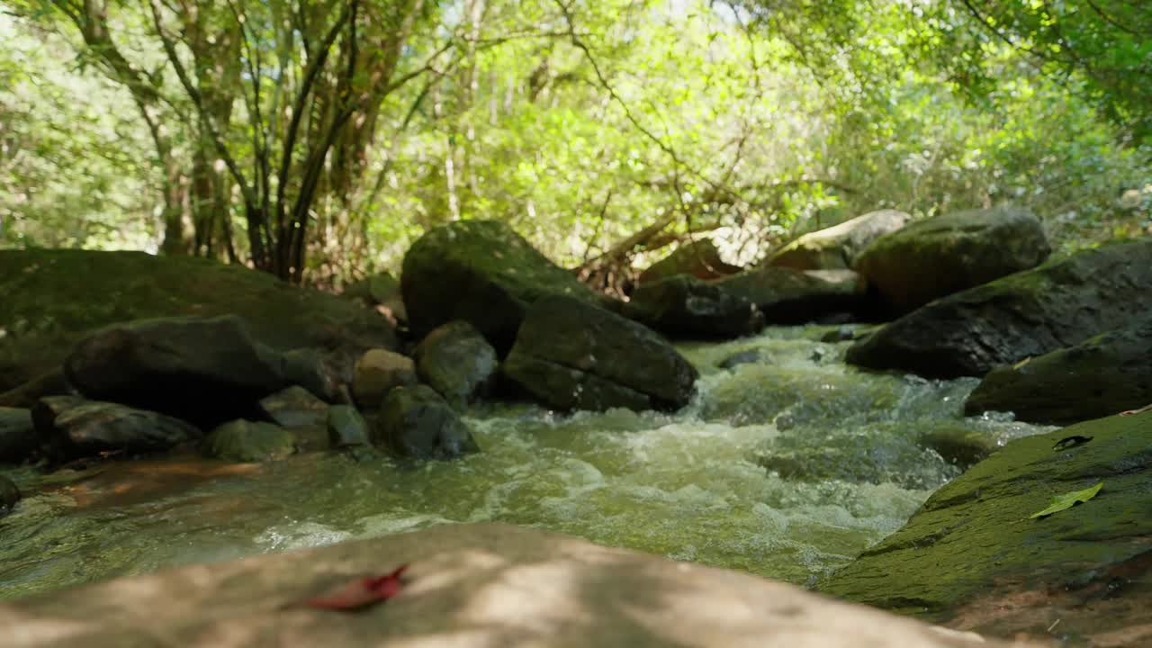 水从巨石中流过。石头在水里。水泡沫。快速的电流。丛林中水流穿过岩石的特写镜头。夏天流过岩石的小溪。自然概念视频素材