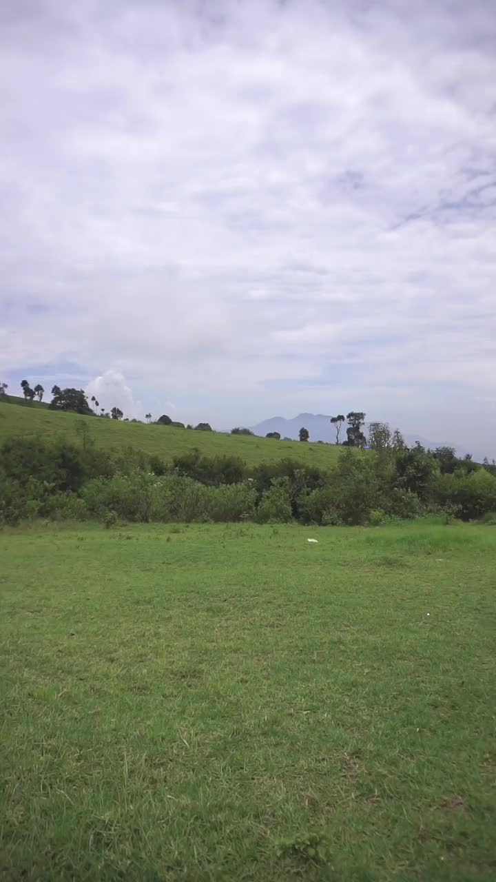 自然风光山脉自然全景丘陵，高大的绿树森林和绿色种植园斜坡在多云的蓝天下，白天视频素材