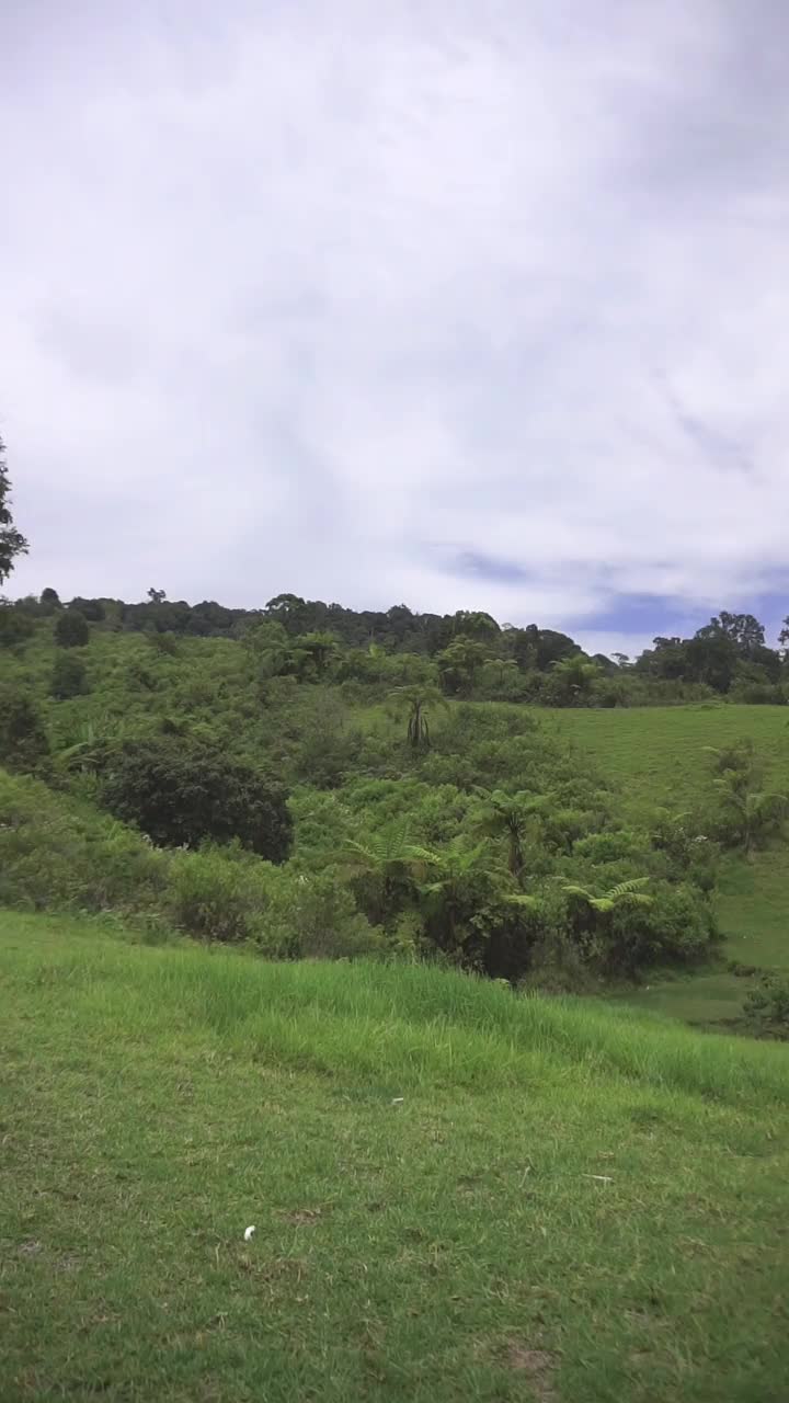 自然风光山脉自然全景丘陵，高大的绿树森林和绿色种植园斜坡在多云的蓝天下，白天视频素材