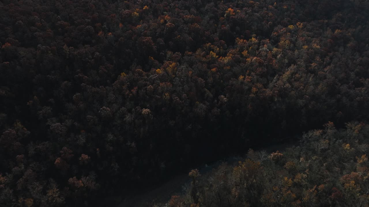 美国阿肯色州李克里克河内的森林景观与秋天的树叶。无人机航拍视频素材