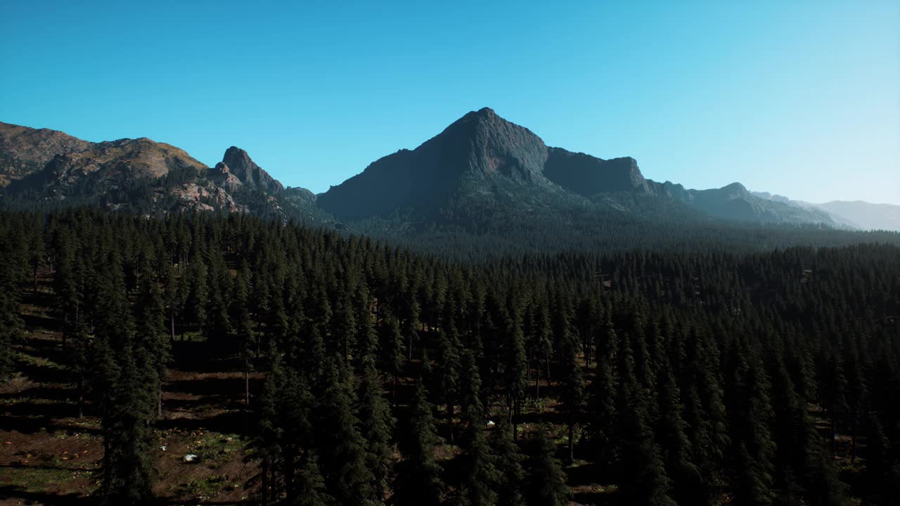 以山脉为背景的森林鸟瞰图视频素材