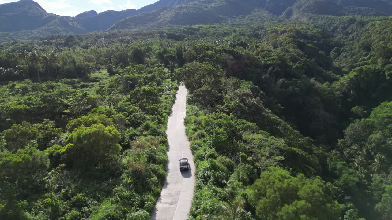 风景与丛林围绕着奔跑的道路和汽车视频素材