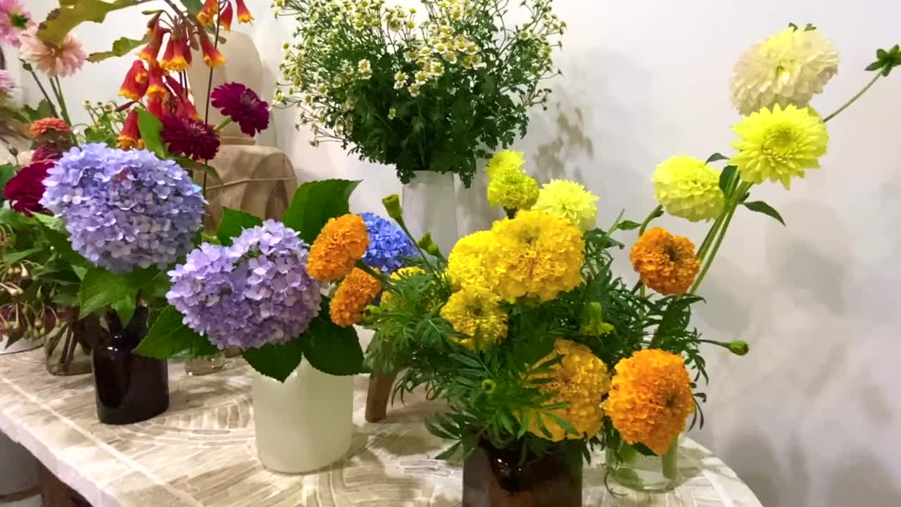 各种花卉花瓶安排视频下载