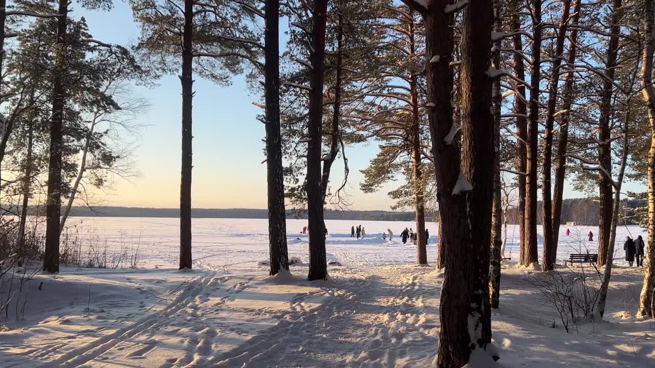 湖上的溜冰场，透过树林可以看到。霜冻天的白雪皑皑的松林。运动生活方式理念视频素材