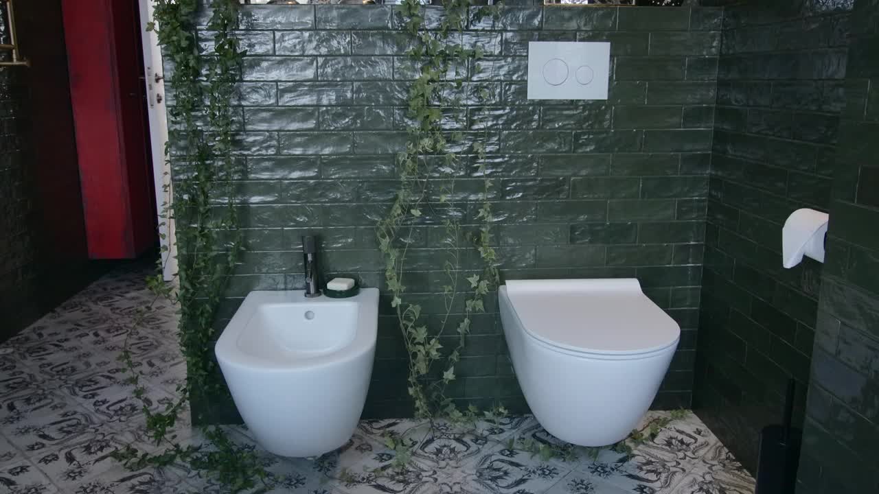 时尚的浴室内部。有创造力。带有植物的现代浴室设计。卫生间在时尚的浴室里，有淋浴和植物。视频素材