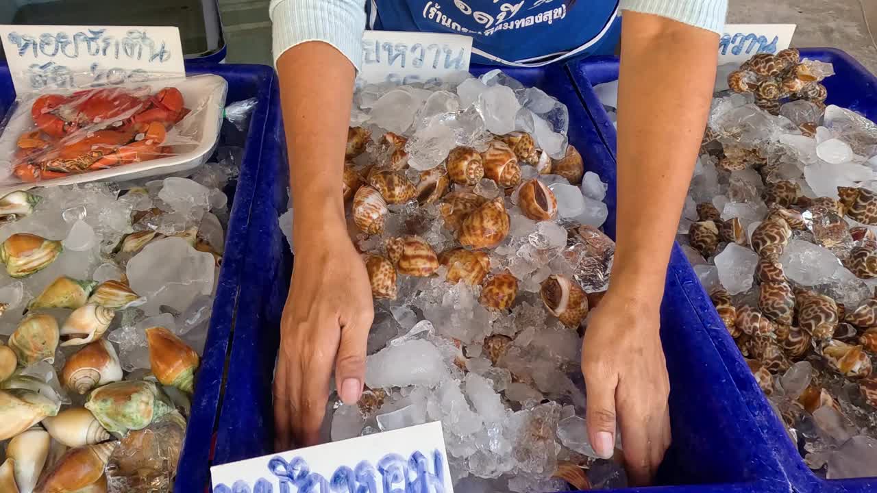 海鲜市场贝类选择程序视频素材